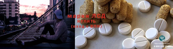 хмурый Алексин