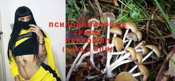 хмурый Алексин