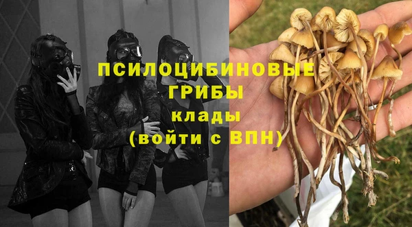 хмурый Алексин