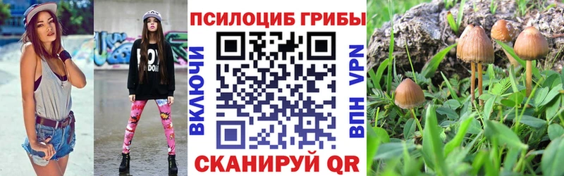 это телеграм купить наркоту Микунь Галлюциногенные грибы MAGIC MUSHROOMS